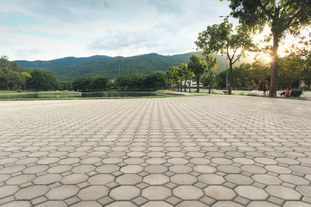 Best Professional Driveway Pavers  in Glendive, MT